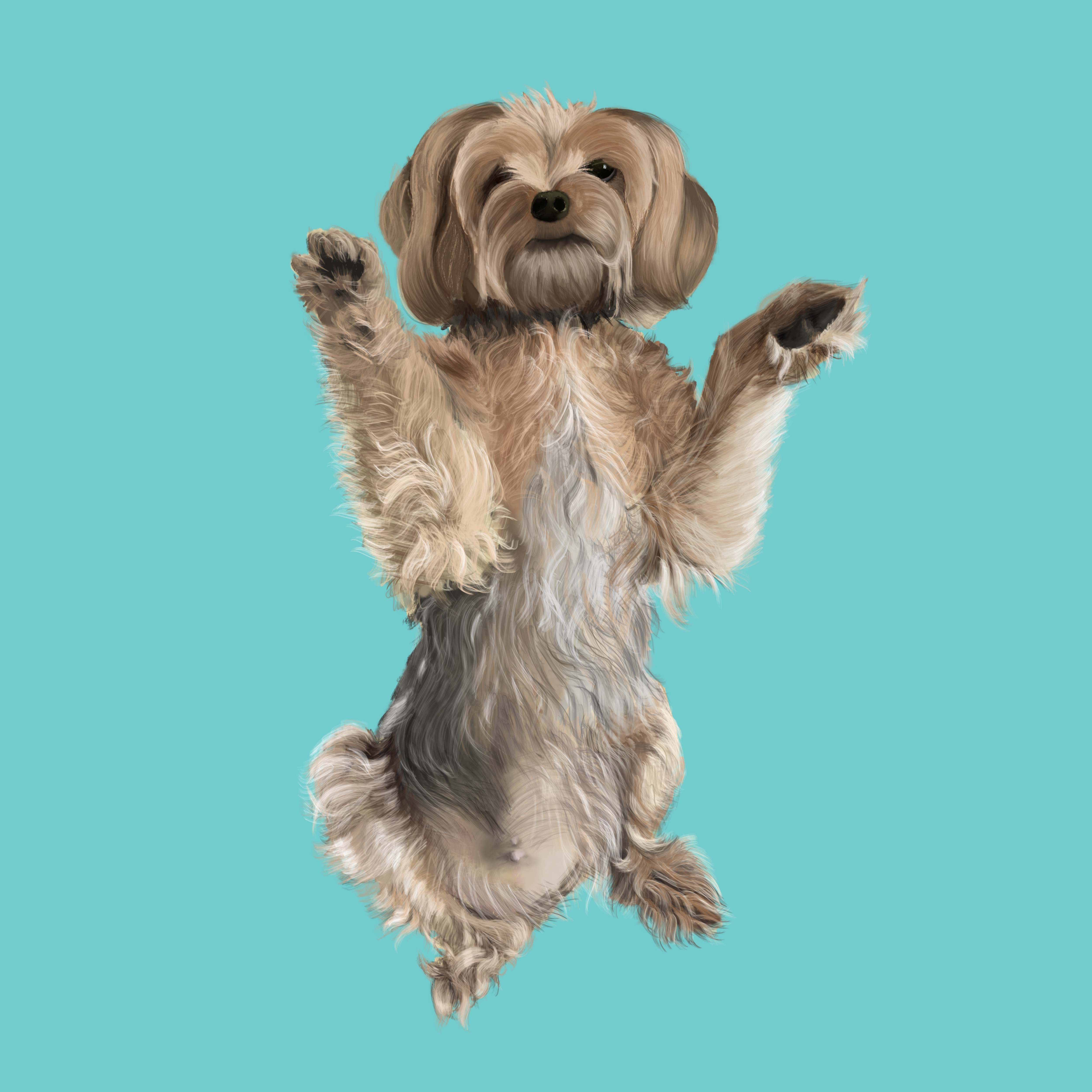 Illustration
