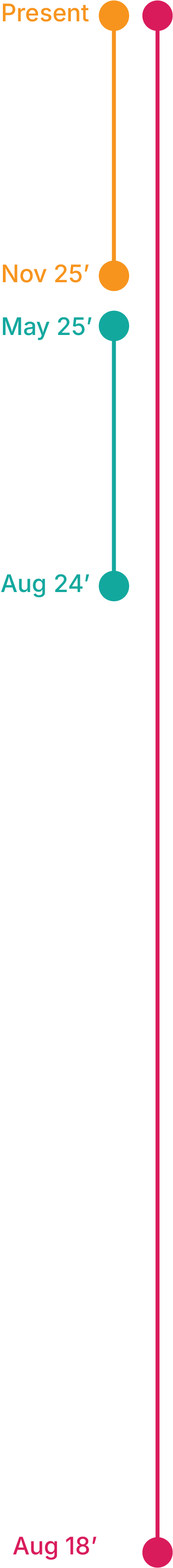 Work Experience Timeline